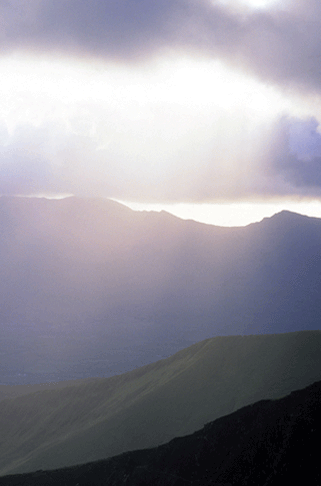 Left-1.gif (77295 bytes)